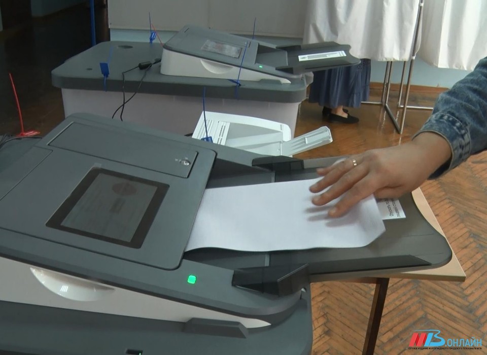 На выборах в Волгоградской области по явке лидирует Камышин